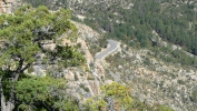 PICTURES/Mt. Lemmon/t_View of Road1.JPG